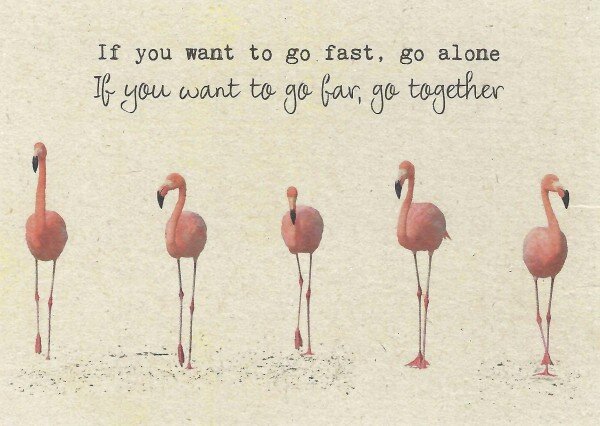 If you want to go fast, go allone, if you want to go far, go together